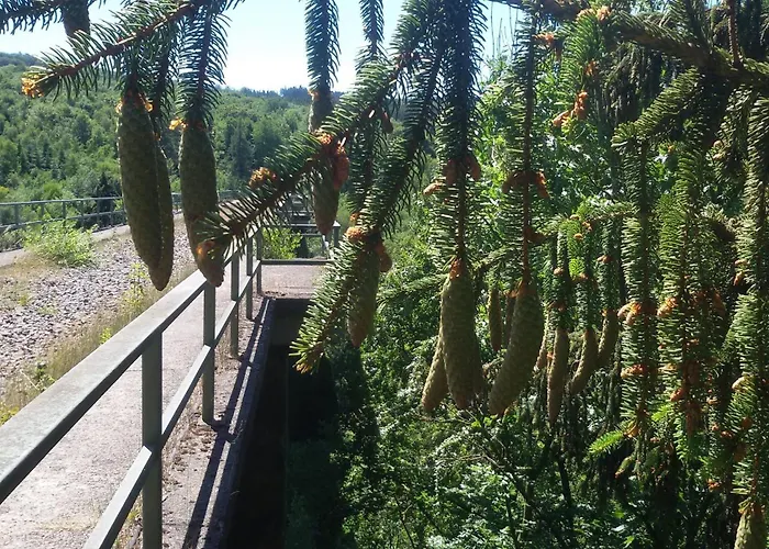 Zur Schoenen Aussicht Hardt (Rhineland-Palatinate)