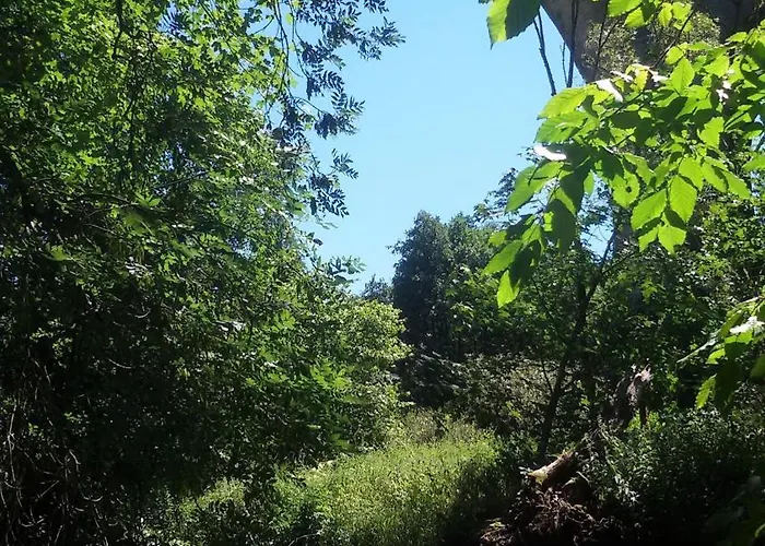 Zur Schoenen Aussicht Holiday home Hardt (Rhineland-Palatinate)