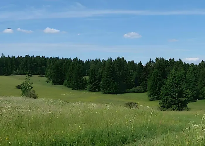 Zur Schoenen Aussicht Holiday home